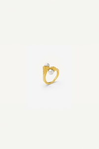 Frost Ring