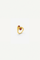 Frost Ring