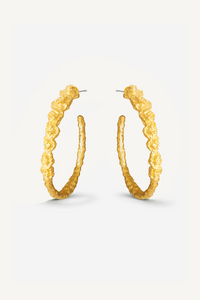 Pebble Hoops
