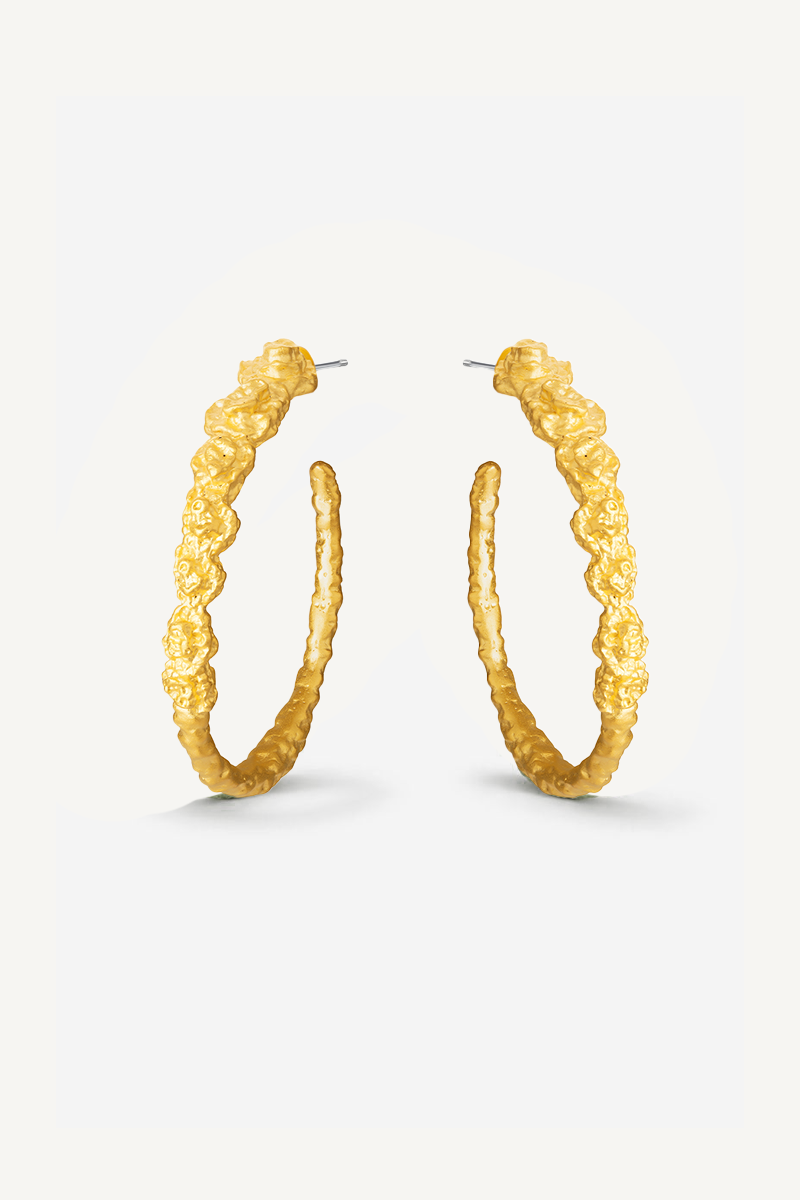 Pebble Hoops