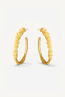 Pebble Hoops