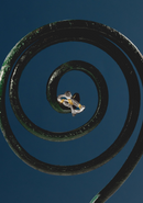 Gemino Ring