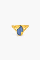 Meteorite Ring