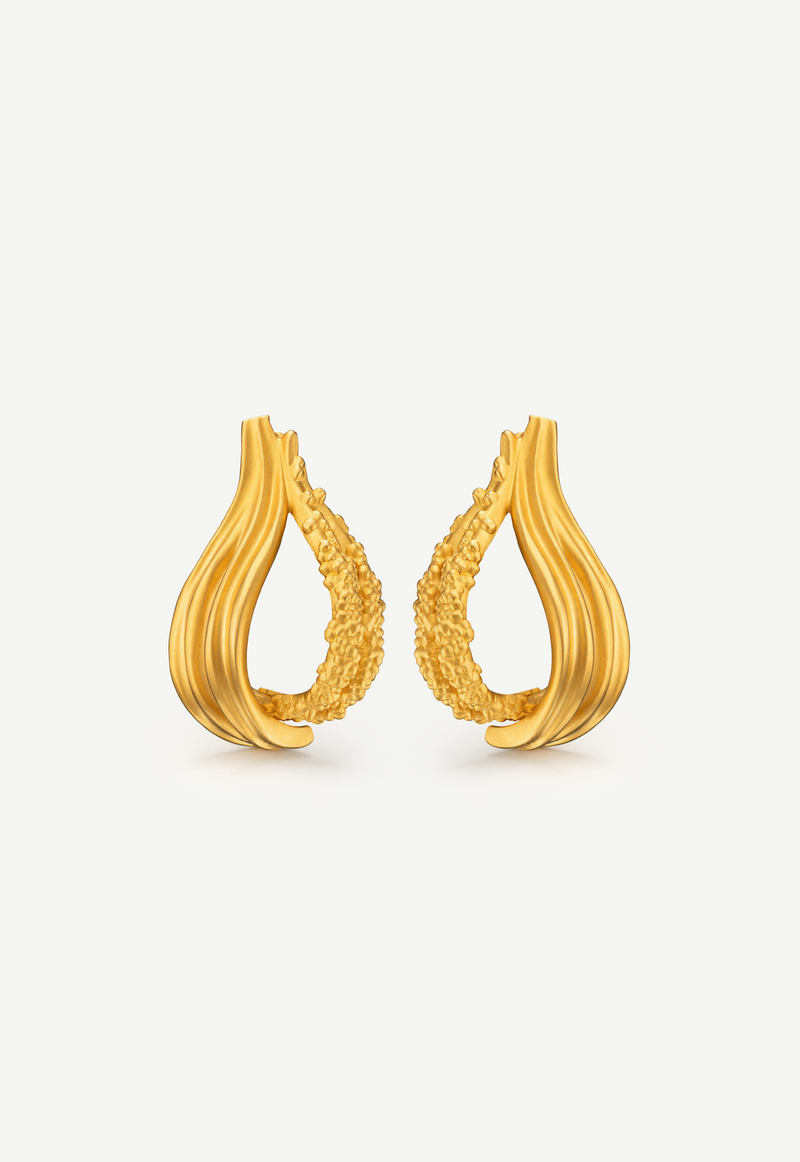 Interchangeable Loop Hoops
