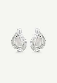 Interchangeable Loop Hoops