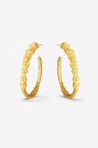 Pebble Hoops