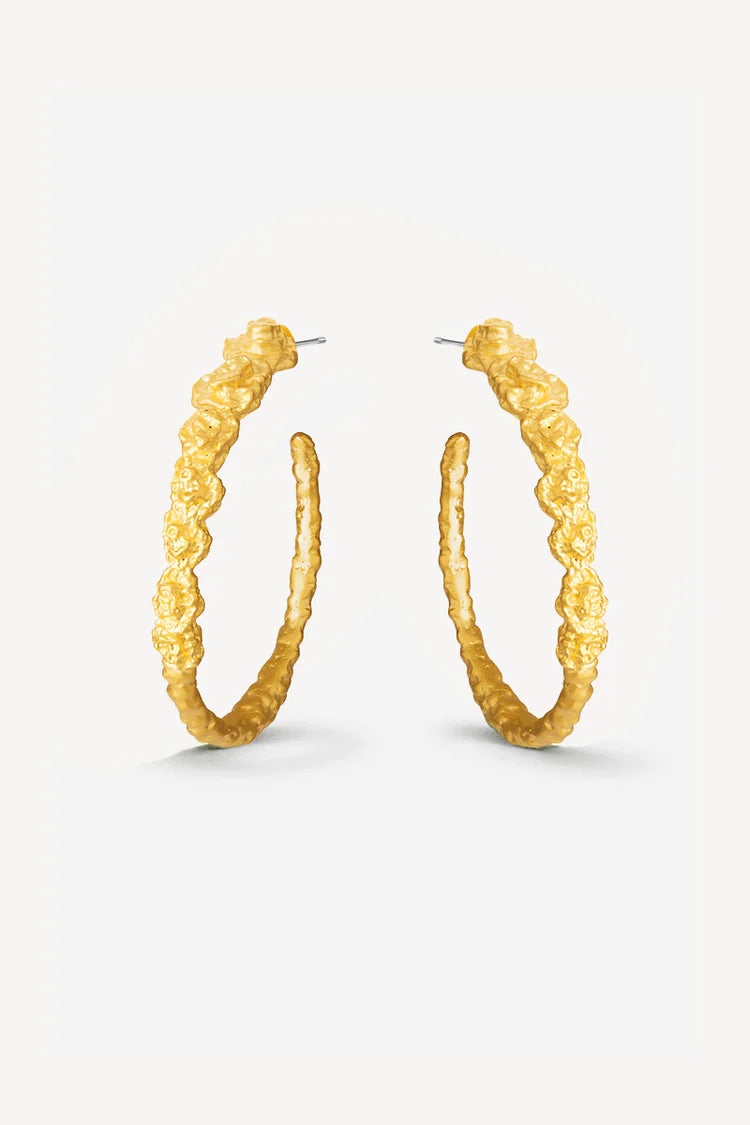 Pebble Hoops